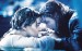 Titanic-Leonardo-DiCaprio-e-Kate-Winslet